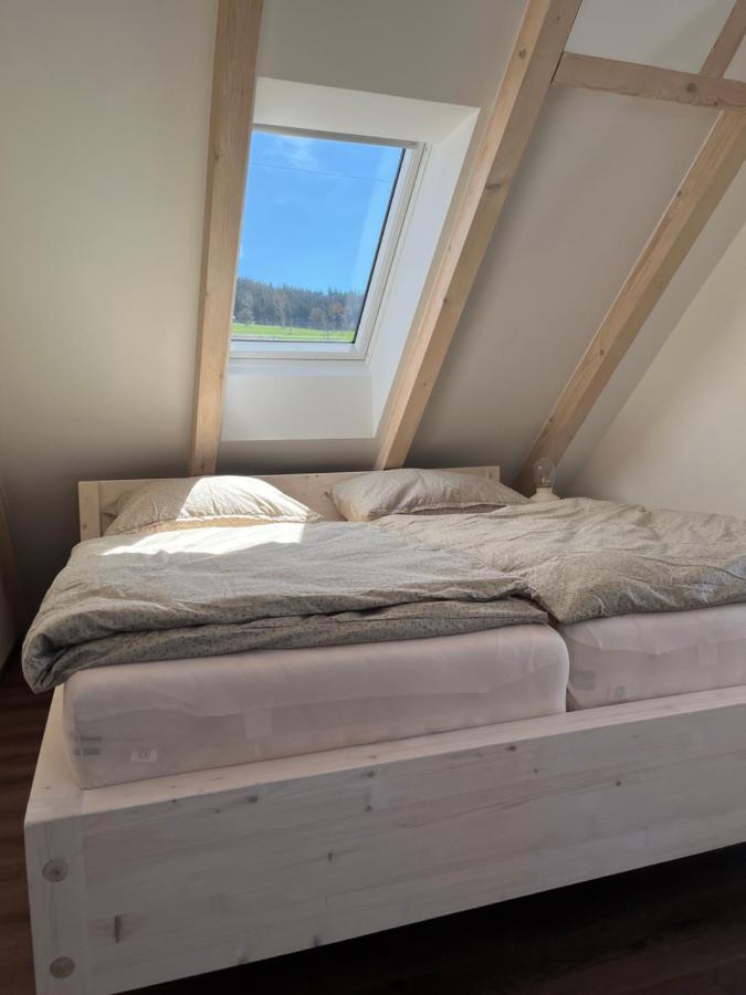 U Kralika, Apartman H, 3 Samostatne Loznice - Mezonet, Vlastni Parkovani, 50 Metru Od Vleku , Vysousece Bot V Lyzarne Dolní Morava Eksteriør billede