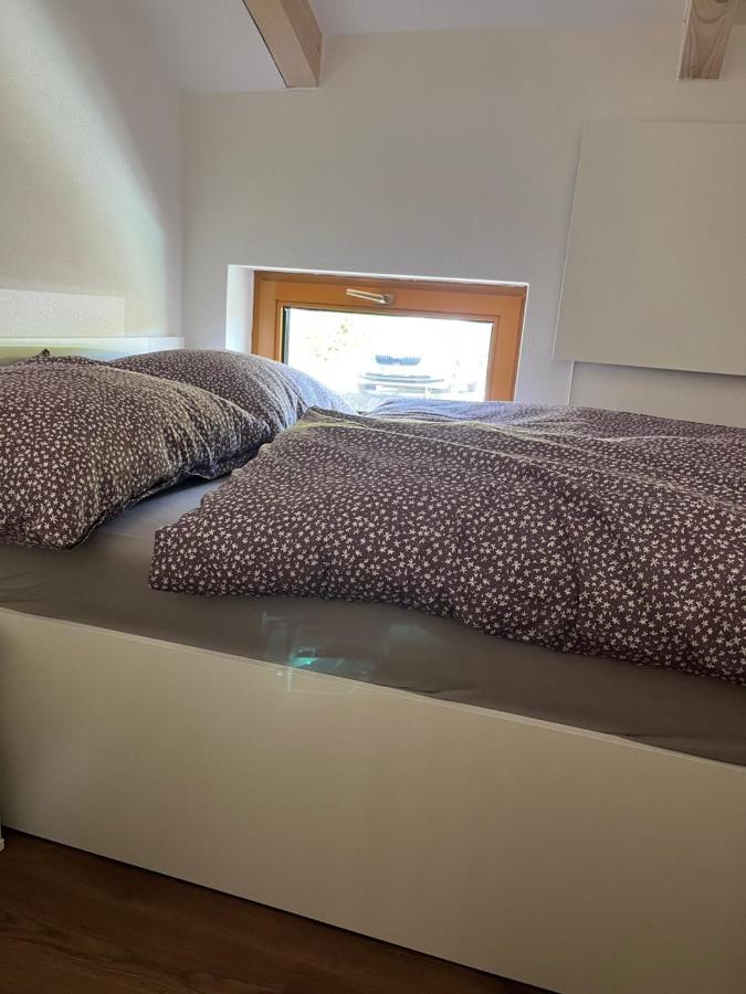 U Kralika, Apartman H, 3 Samostatne Loznice - Mezonet, Vlastni Parkovani, 50 Metru Od Vleku , Vysousece Bot V Lyzarne Dolní Morava Eksteriør billede